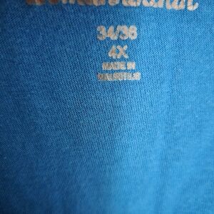 Woman within plus size tunic 4x